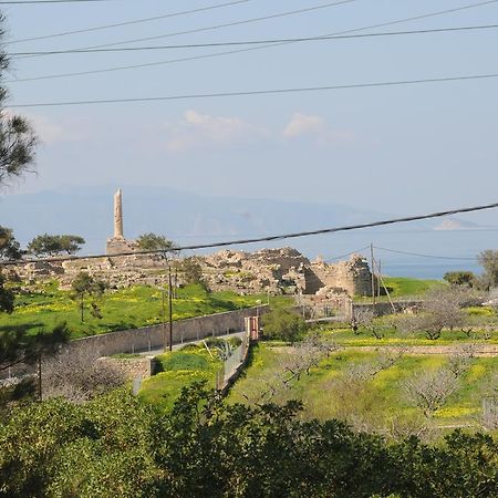 Kalokenti Studios Aegina Quarto foto